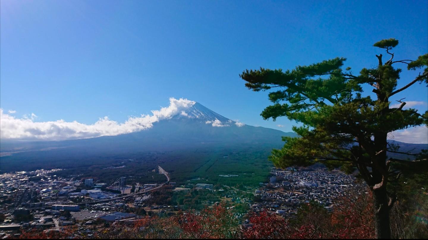 スポットの画像