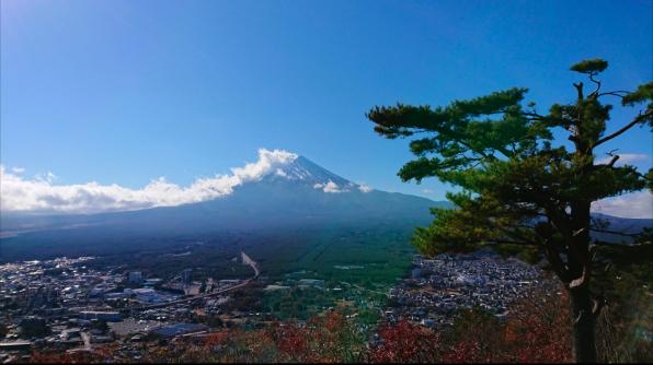 スポットの画像