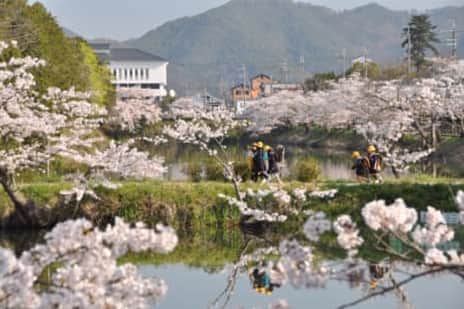 自然豊かな丹波篠山市での暮らし