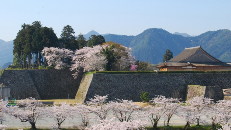 いっしょに行きたい丹波篠山