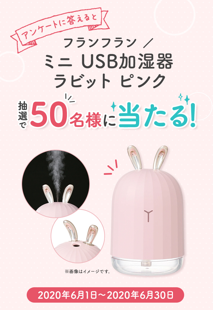 簡単応募キャンペーン フランフラン ／ ミニ USB加湿器 ラビット