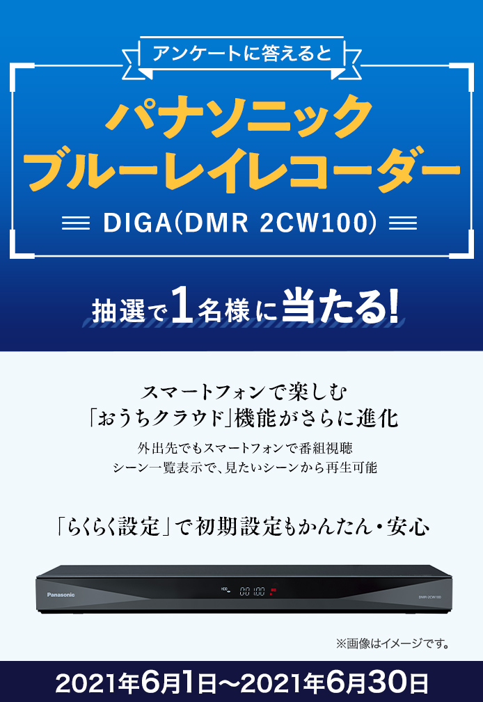 パナソニック DIGA ブルーレイレコーダー DMR-2CW100-