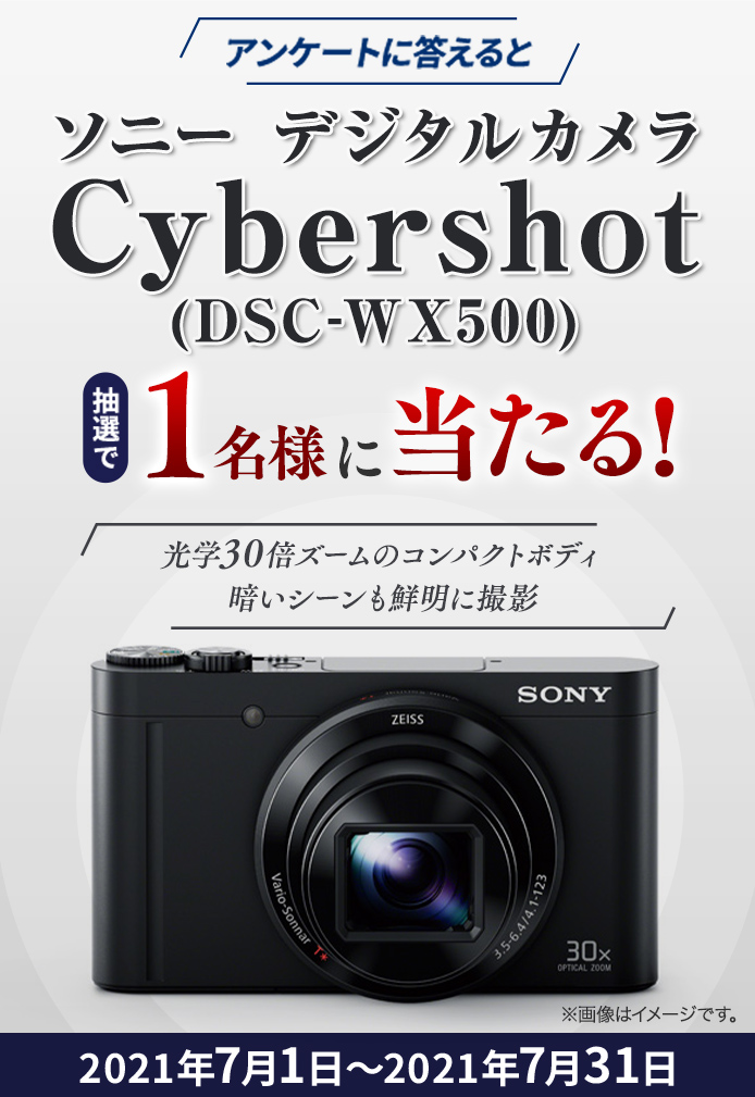 簡単応募キャンペーン ソニー デジタルカメラ Cybershot（DSC-WX500