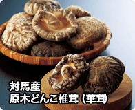 対馬産原木どんこ椎茸（華茸）