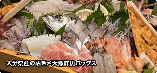 大分県産の活き〆天然鮮魚ボックス