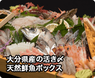 大分県産の活き〆天然鮮魚ボックス