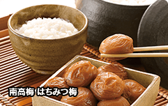 南高梅 はちみつ梅