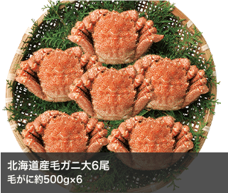 北海道産毛ガニ大6尾