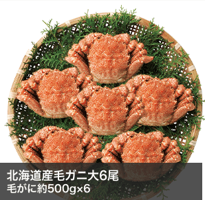 北海道産毛ガニ大6尾