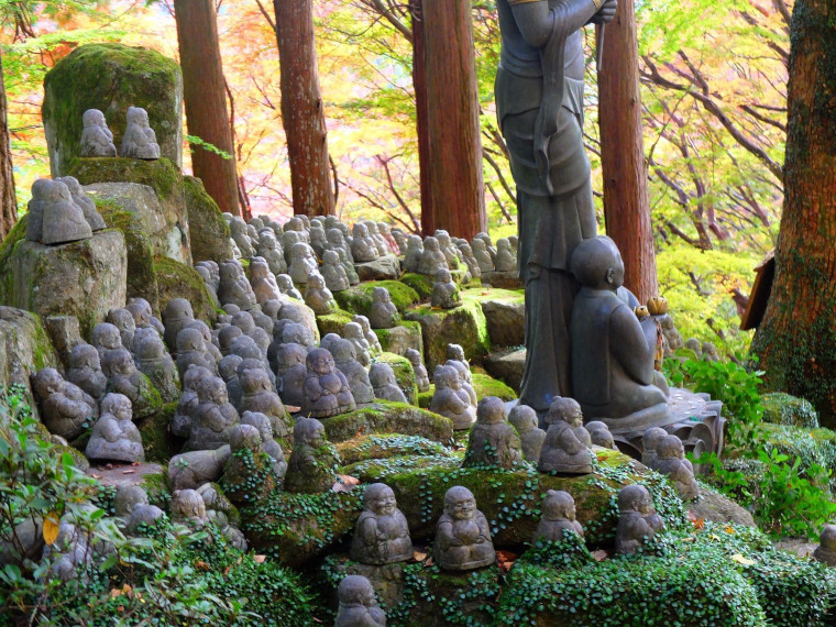 木々に囲まれてたたずむ沢山のお地蔵さま