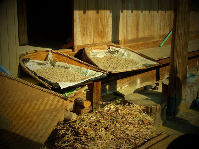 干してある大豆や蕎麦の実